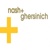 Nash & Ghersinich Logotype