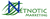 Netnotic Marketing Logotype