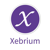 Xebrium Inc Logotype