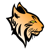 NexLynx, Inc. Logotype