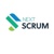 NextScrum Logotype