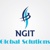 NGIT Global Solutions Pvt Ltd. Logotype