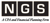 NGS LLC Logotype