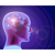 NLP Training Concepts, LLC Logotype
