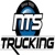 NTS LLC Logotype