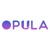 Opula Software Development Pvt. Ltd. Logotype