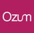 Ozum Ltd Logotype