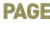 PAGE Logotype