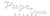 PageOnePlease.com Logotype