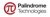 Palindrome Logotype