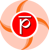 PALSOFT India Logotype