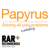 Papyrus Group Logotype