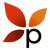 Paramaya Web Consulting, LLC Logotype