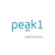 Peak 1 Logotype