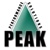 Peak Performance Solutions Logotype