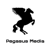 Pegasus Media Logotype