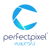 Perfect Pixel Logotype