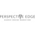 Perspective Edge Logotype
