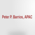 Barrios Peter P CPA Logotype