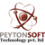 Peytonsoft Technology Pvt Ltd Logotype