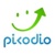 Picodio Digital Agency Logotype