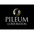 Pileum Corporation Logotype