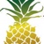 Pineapple Tweed Public Relations and Marketing Logotype