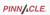 Pinnacle Transport Group Logotype