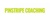 Pinstripe Coaching Logotype
