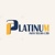 PlatinumInfoTechs Logotype