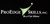 ProEdge Skills Logotype
