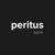 Peritus Digital Logotype