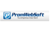 Promo Web Soft Logotype