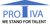 Protiva Consulting LLC Logotype
