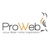ProWeb Solutions Logotype