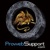 Prowebsupport Logotype