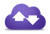 Platform Purple, Inc. Logotype