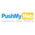PushMyWeb.com Logotype