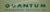 Quantum Management Services Logotype