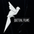 Quetzal Marketing Logotype