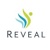 Reveal USA Logotype