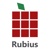 Rubius Logotype
