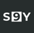 S9Y.ai Logotype
