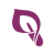 Sandy Flom, CPA, CFP Logotype