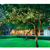 CAMPBELL LANDSCAPE ARCHITECTURE Logotype
