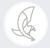 Seehawk Design Logotype