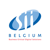 SII Belgium Logotype