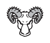 RAM Manufacturing Co. Logotype