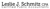 Leslie J Schmitz CPA Logotype