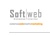 Softweb de México Logotype